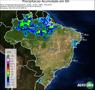 6 horas
