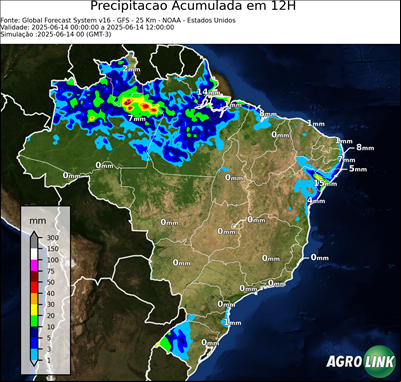 12 horas
